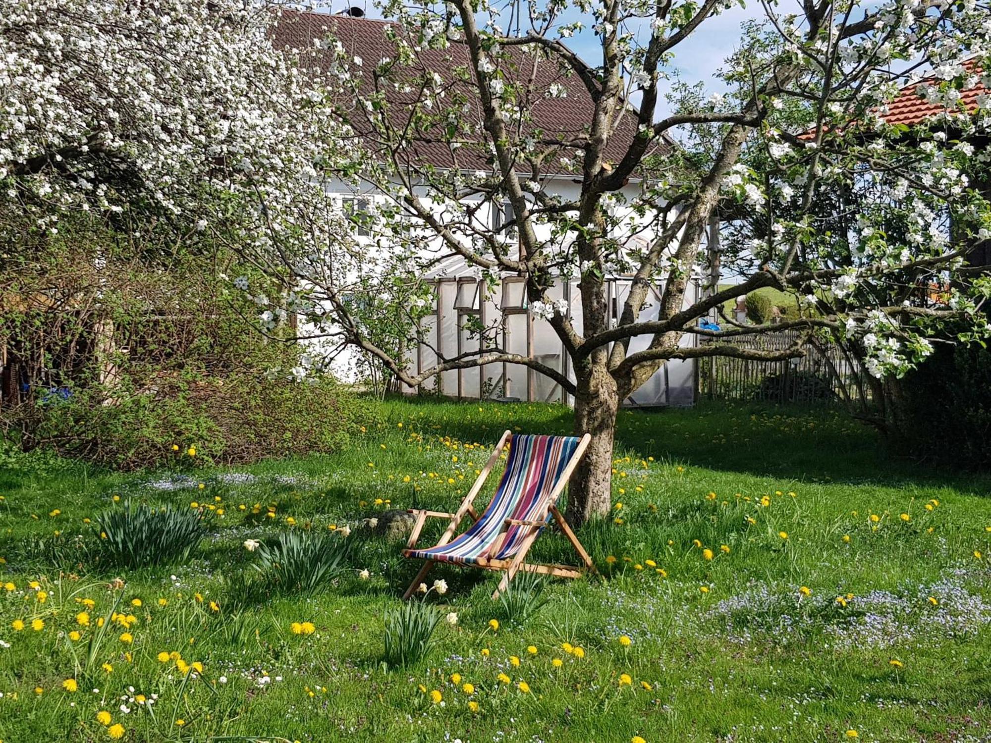 Ferienwohnung Hofen 5 Peiting Esterno foto